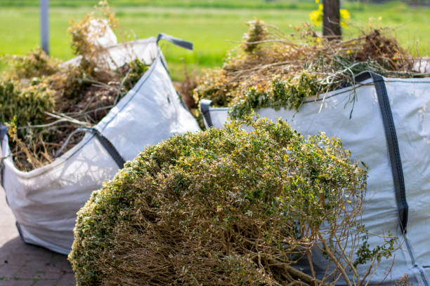 Trash Removal Near Me in West Hazleton, PA